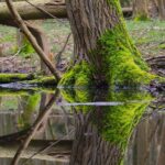 Škoda vozí do Německa karoserie Fabií: Co to znamená? 22 Škoda vozí do Německa karoserie Fabií: Co to znamená?