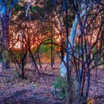 Jak vyměnit boční zrcátko u Fabie 3?