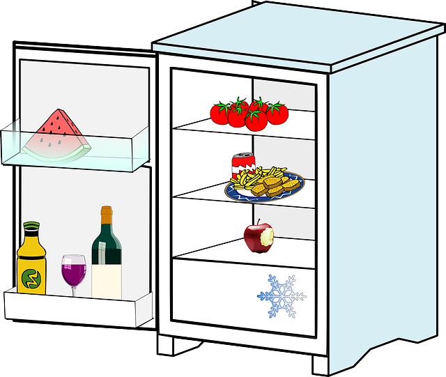 Lednice jako investice do pohodlného a udržitelného domácnosti