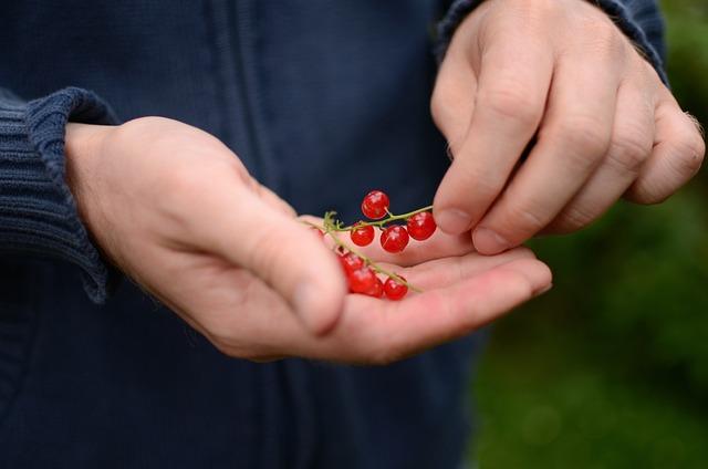 Proč je důležité udržovat správnou teplotu chladící kapaliny